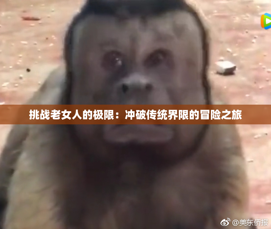 挑战老女人的极限：冲破传统界限的冒险之旅