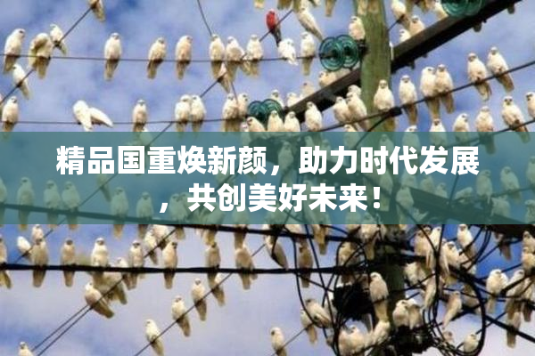 精品国重焕新颜，助力时代发展，共创美好未来！