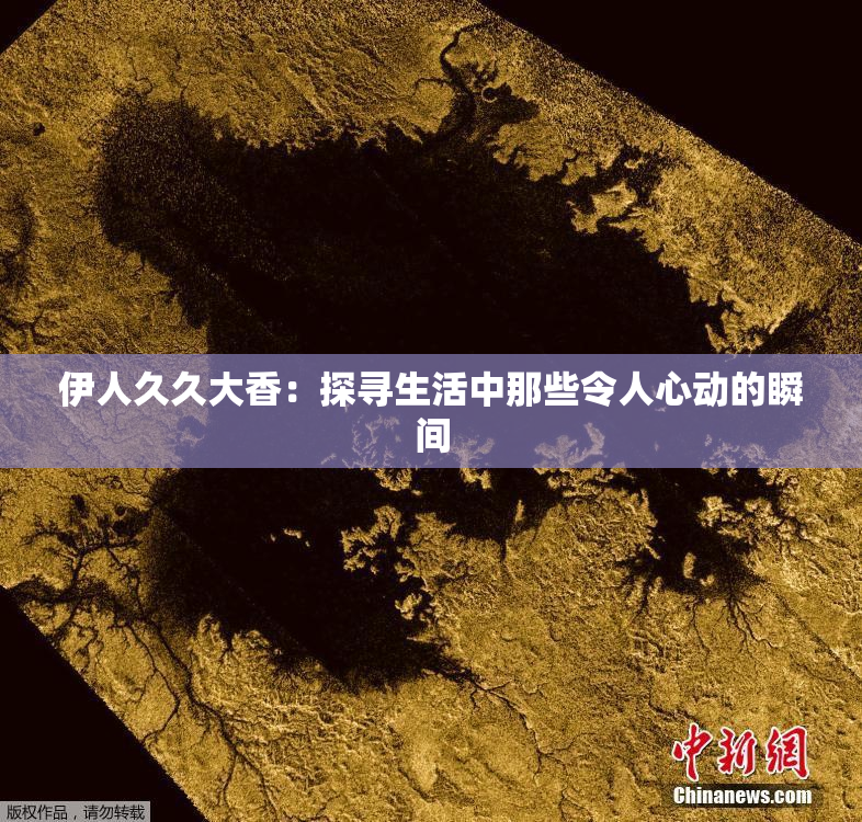 伊人久久大香：探寻生活中那些令人心动的瞬间