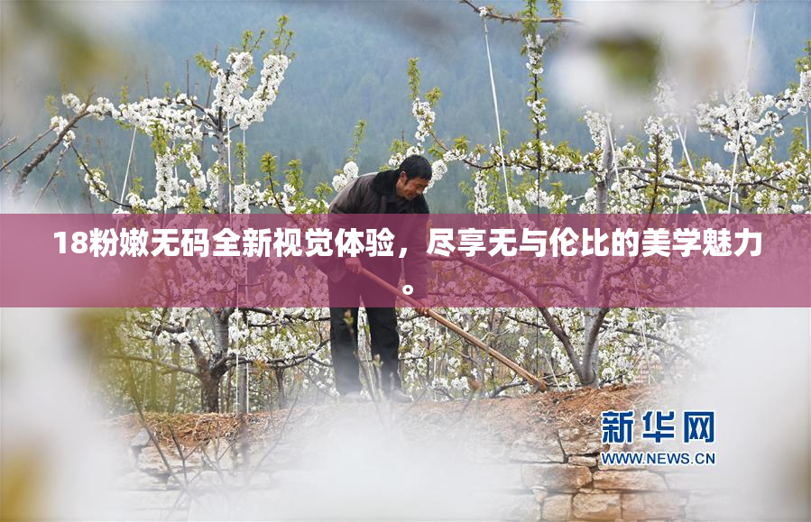 18粉嫩无码全新视觉体验，尽享无与伦比的美学魅力。