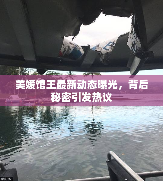 美媛馆王最新动态曝光，背后秘密引发热议