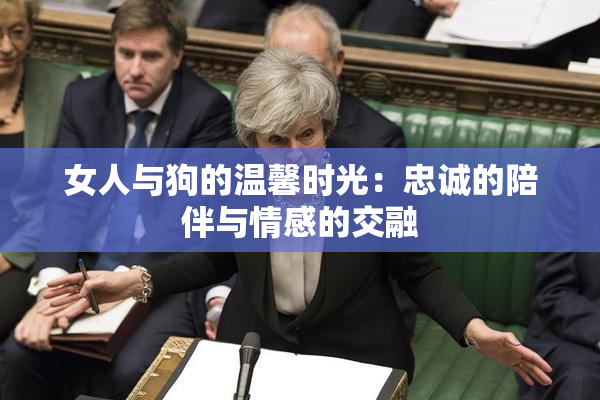 女人与狗的温馨时光：忠诚的陪伴与情感的交融