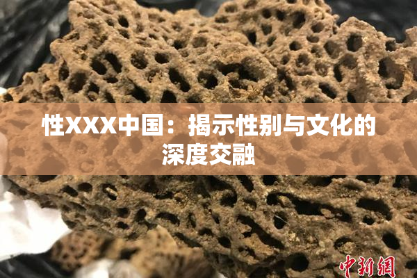 性XXX中国：揭示性别与文化的深度交融