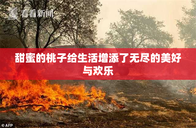 甜蜜的桃子给生活增添了无尽的美好与欢乐