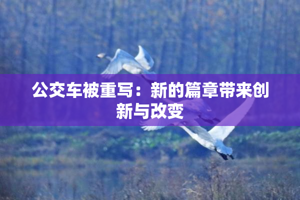 公交车被重写：新的篇章带来创新与改变