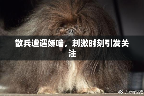 散兵遭遇娇喘，刺激时刻引发关注