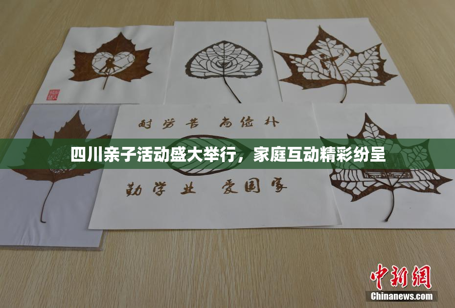 四川亲子活动盛大举行，家庭互动精彩纷呈