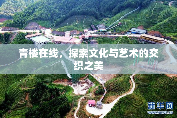 青楼在线，探索文化与艺术的交织之美