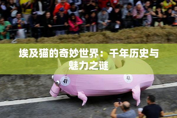 埃及猫的奇妙世界：千年历史与魅力之谜