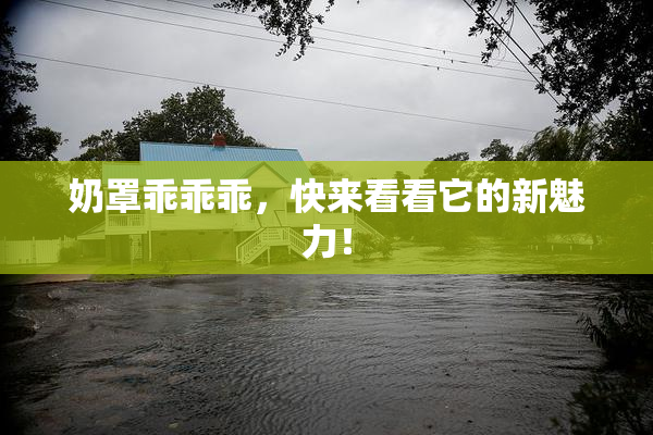 奶罩乖乖乖，快来看看它的新魅力！