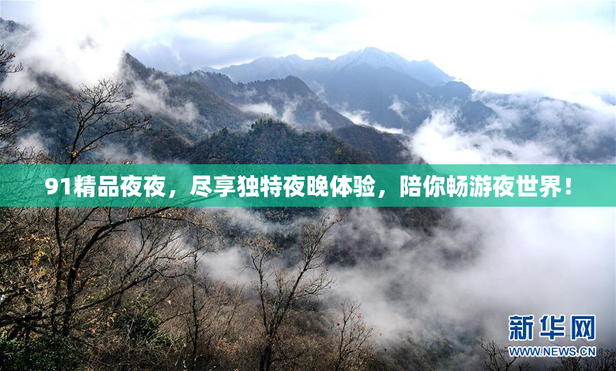 91精品夜夜，尽享独特夜晚体验，陪你畅游夜世界！
