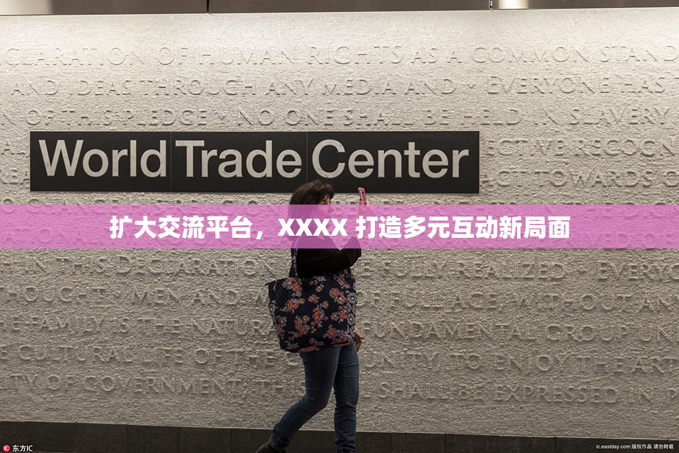 扩大交流平台，XXXX 打造多元互动新局面