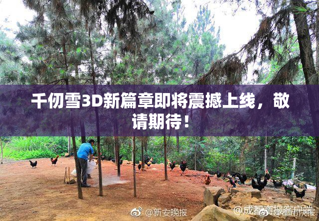 千仞雪3D新篇章即将震撼上线，敬请期待！