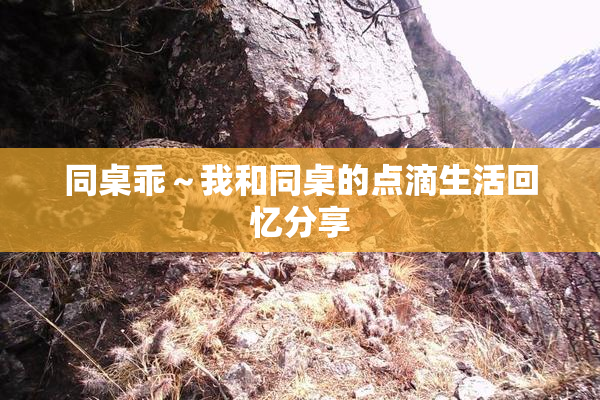同桌乖～我和同桌的点滴生活回忆分享