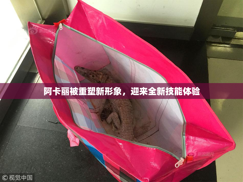 阿卡丽被重塑新形象，迎来全新技能体验