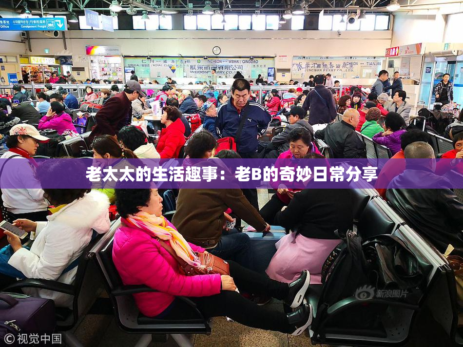 老太太的生活趣事：老B的奇妙日常分享