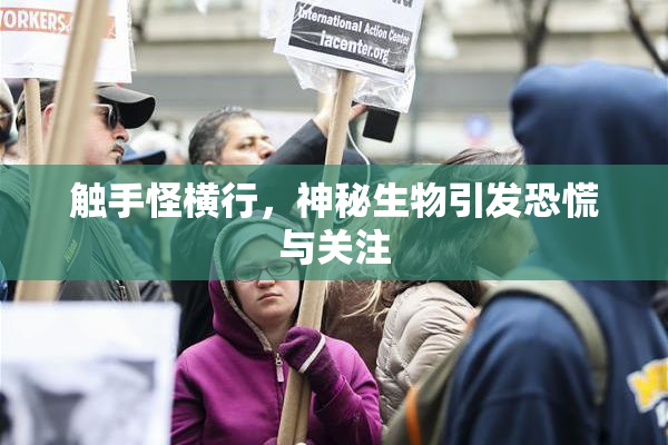 触手怪横行，神秘生物引发恐慌与关注