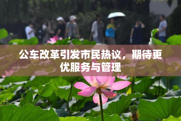 公车改革引发市民热议，期待更优服务与管理