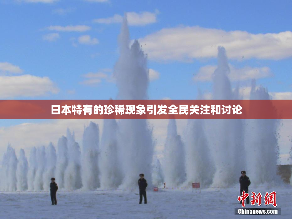 日本特有的珍稀现象引发全民关注和讨论