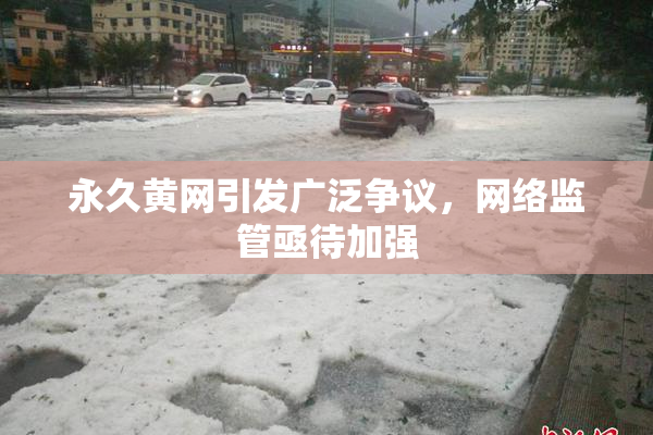永久黄网引发广泛争议，网络监管亟待加强