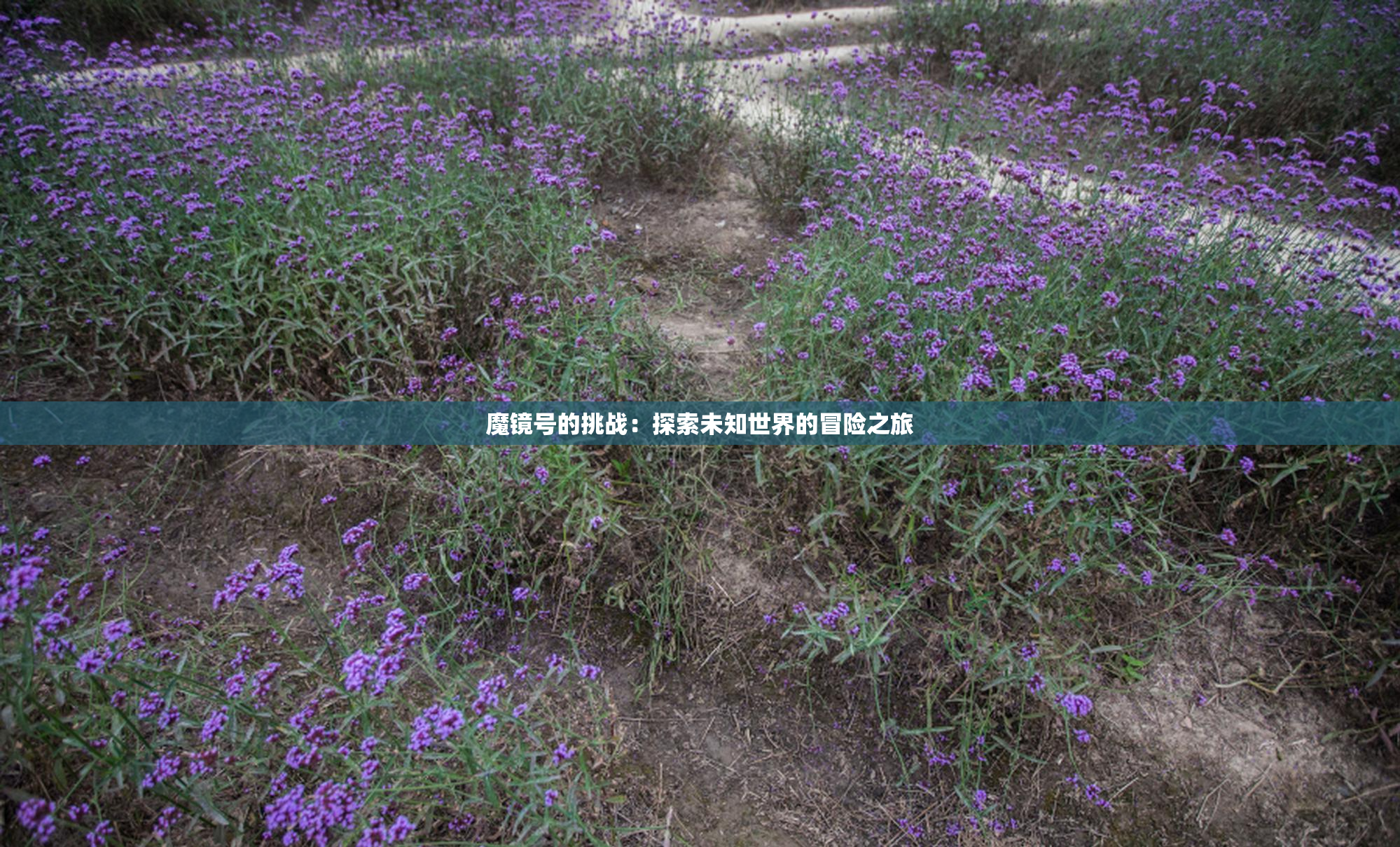 魔镜号的挑战：探索未知世界的冒险之旅