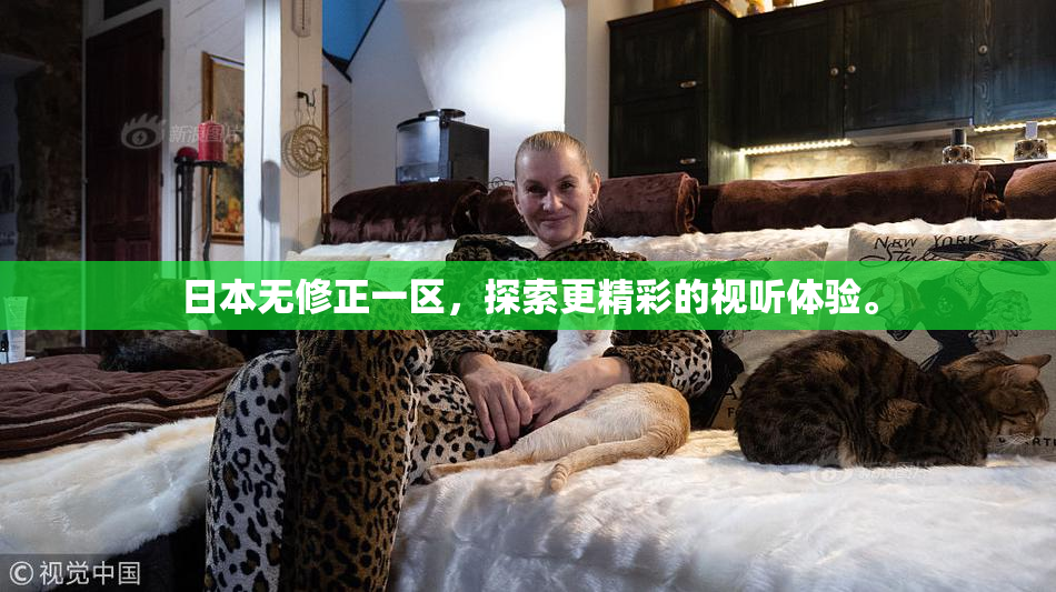 日本无修正一区，探索更精彩的视听体验。