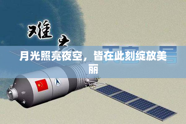 月光照亮夜空，皆在此刻绽放美丽