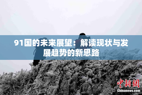 91国的未来展望：解读现状与发展趋势的新思路