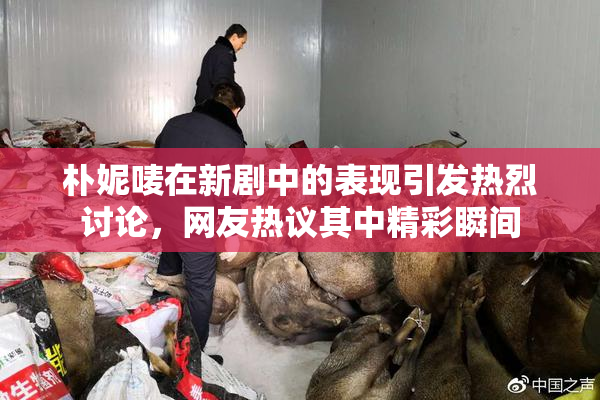 朴妮唛在新剧中的表现引发热烈讨论，网友热议其中精彩瞬间