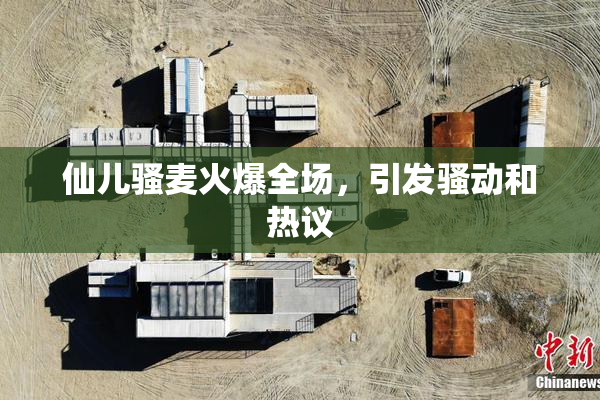 仙儿骚麦火爆全场，引发骚动和热议