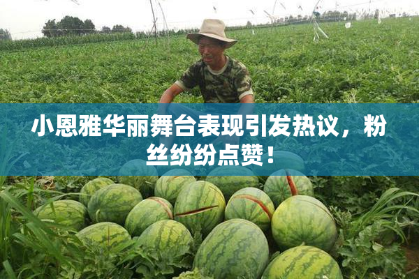 小恩雅华丽舞台表现引发热议，粉丝纷纷点赞！