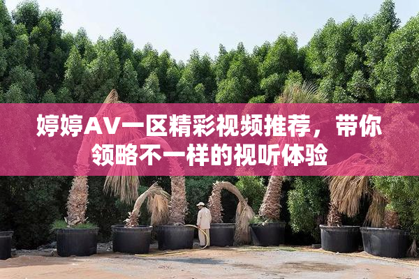 婷婷AV一区精彩视频推荐，带你领略不一样的视听体验