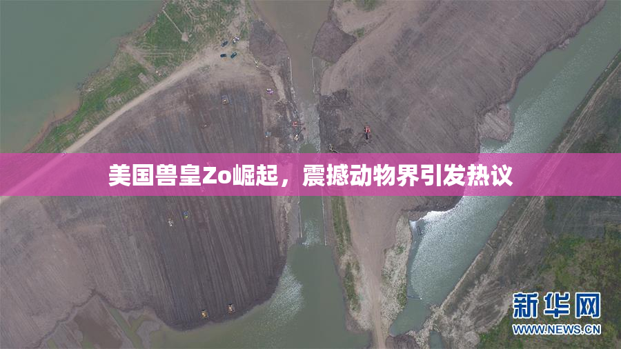 美国兽皇Zo崛起，震撼动物界引发热议
