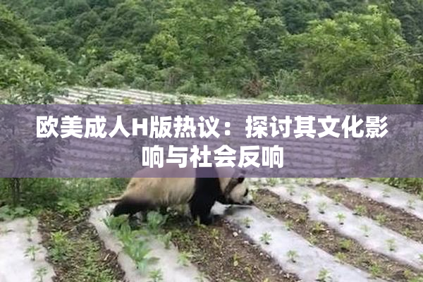 欧美成人H版热议：探讨其文化影响与社会反响