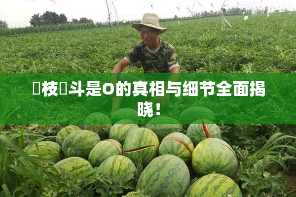 狛枝凪斗是O的真相与细节全面揭晓！