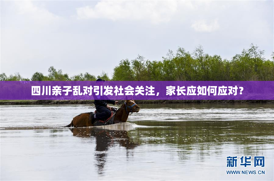 四川亲子乱对引发社会关注，家长应如何应对？
