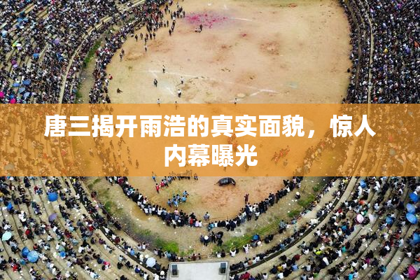唐三揭开雨浩的真实面貌，惊人内幕曝光
