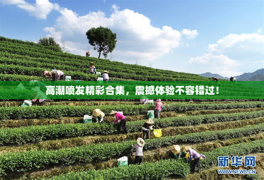 高潮喷发精彩合集，震撼体验不容错过！