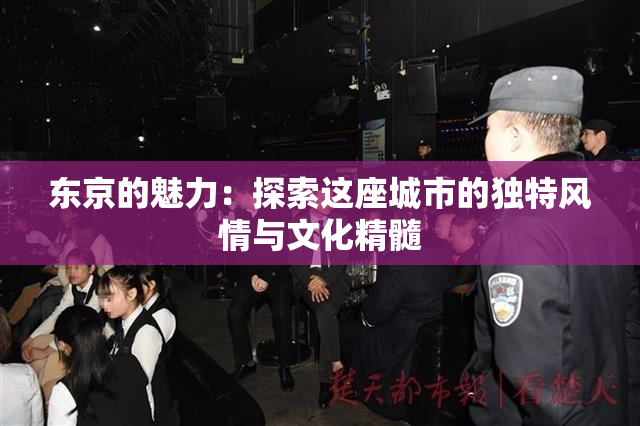 东京的魅力：探索这座城市的独特风情与文化精髓