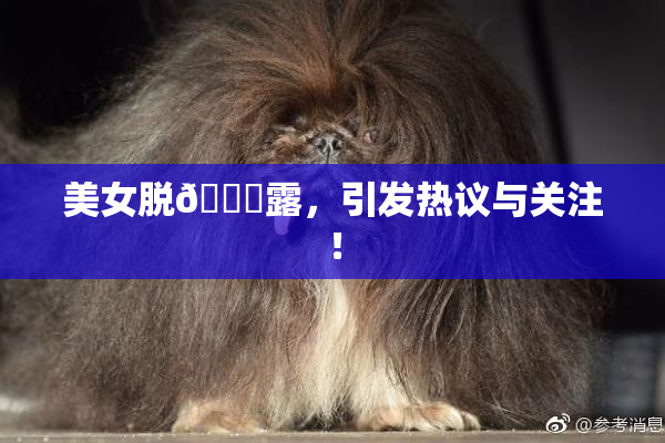 美女脱👙露，引发热议与关注！