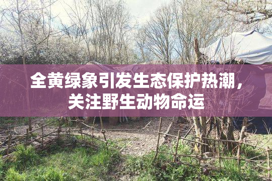 全黄绿象引发生态保护热潮，关注野生动物命运