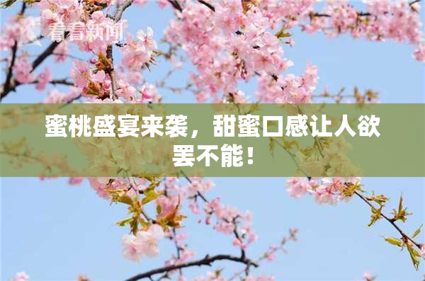 蜜桃盛宴来袭，甜蜜口感让人欲罢不能！