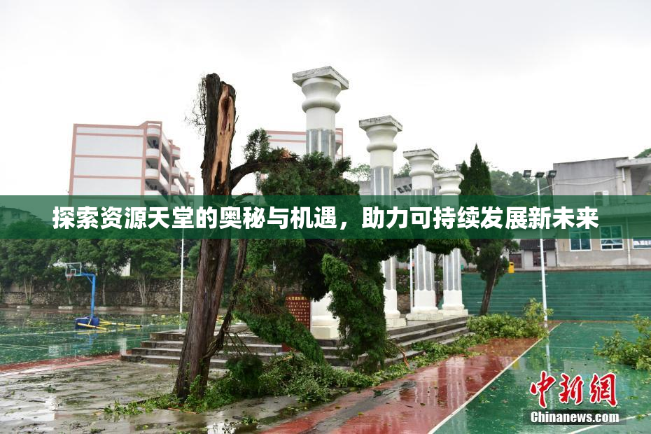探索资源天堂的奥秘与机遇，助力可持续发展新未来