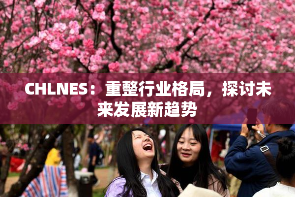 CHLNES：重整行业格局，探讨未来发展新趋势
