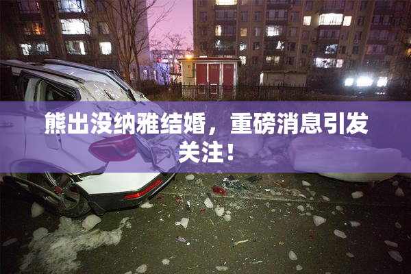 熊出没纳雅结婚，重磅消息引发关注！