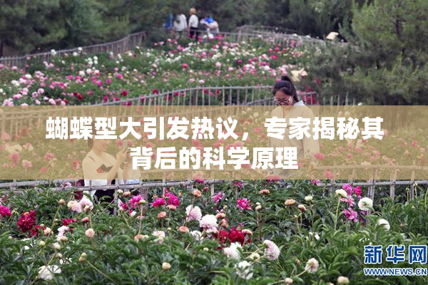 蝴蝶型大引发热议，专家揭秘其背后的科学原理