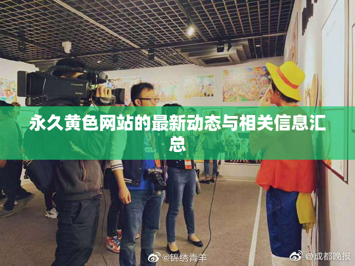 永久黄色网站的最新动态与相关信息汇总