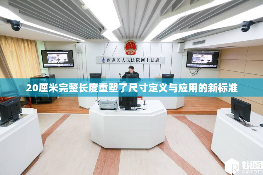 20厘米完整长度重塑了尺寸定义与应用的新标准