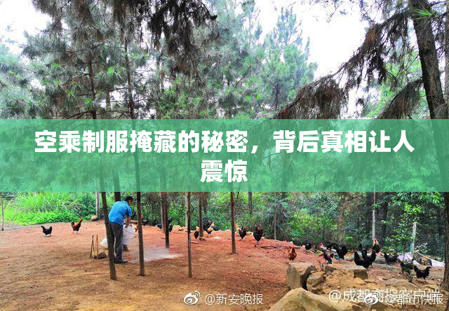 空乘制服掩藏的秘密，背后真相让人震惊