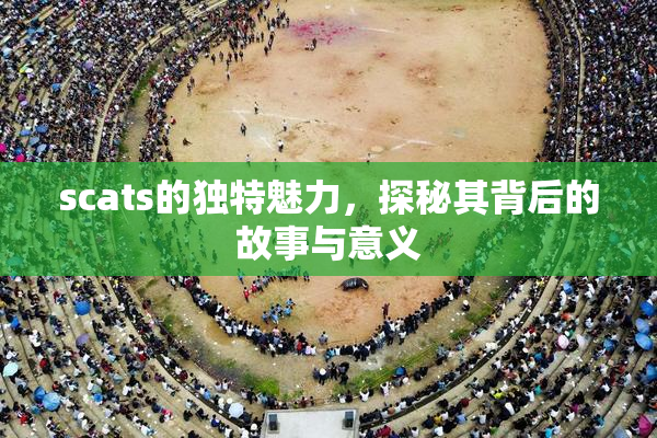 scats的独特魅力，探秘其背后的故事与意义